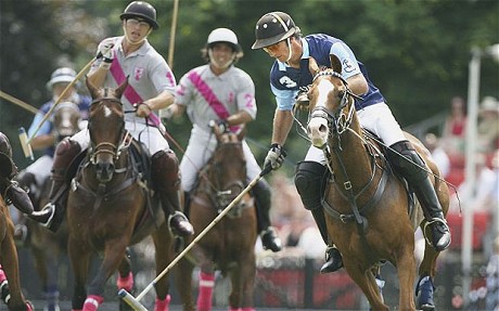 More from Oguz in Turkey